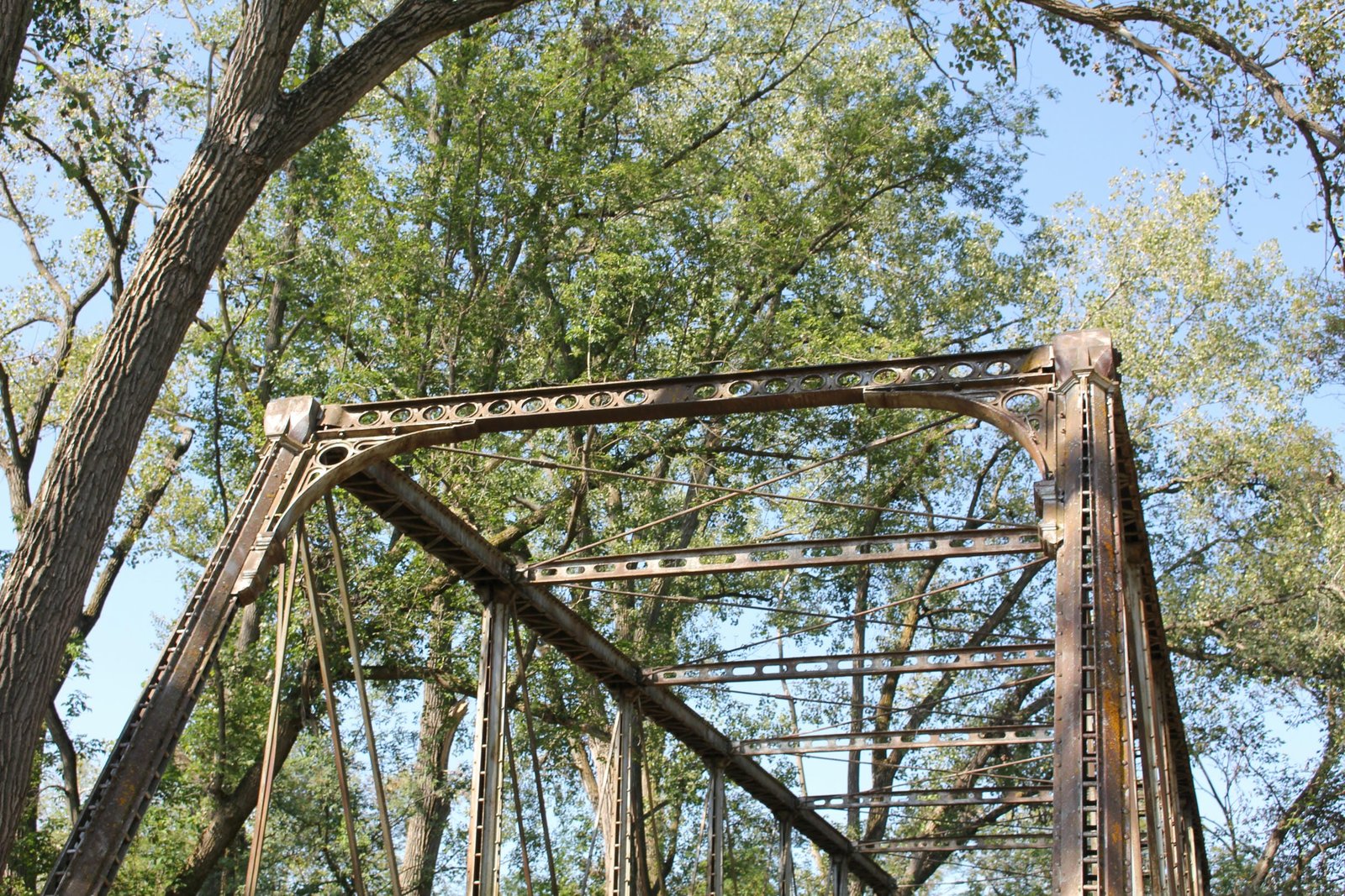 Portal bracing